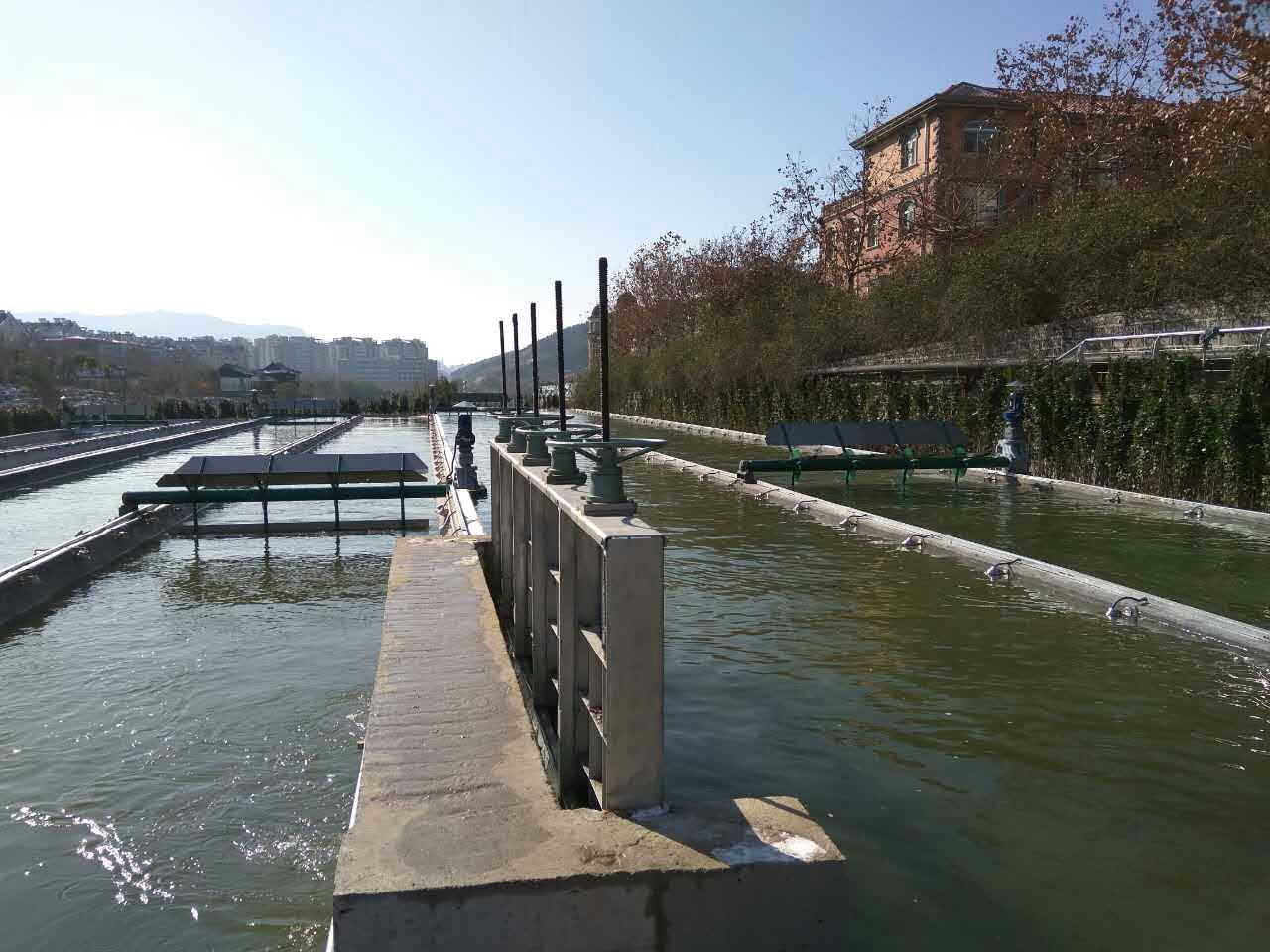Jinan sponge city groundwater recharge algae purified water project
