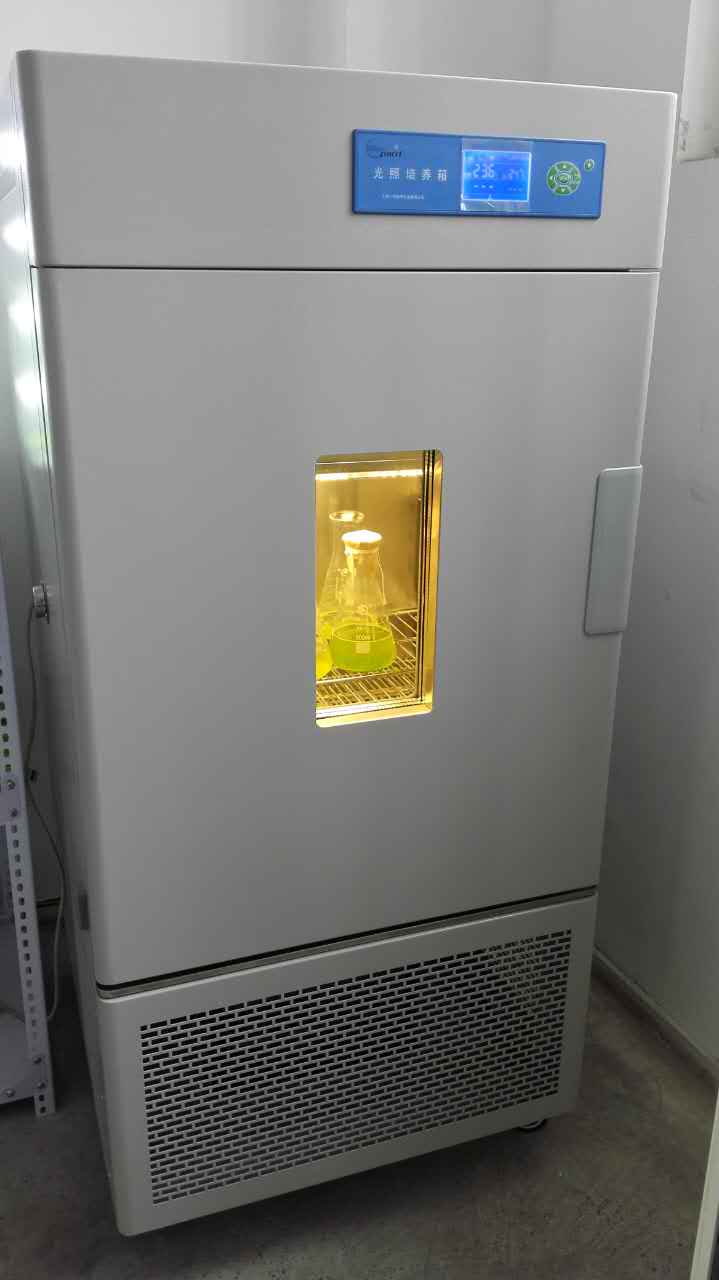 Jinan sponge city groundwater recharge algae purified water project